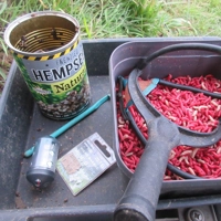 Dynamite Baits Frenzied Hempseed 350g Small Tin